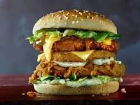 Chicken burger with fries 