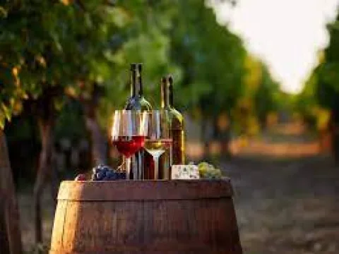 Wines