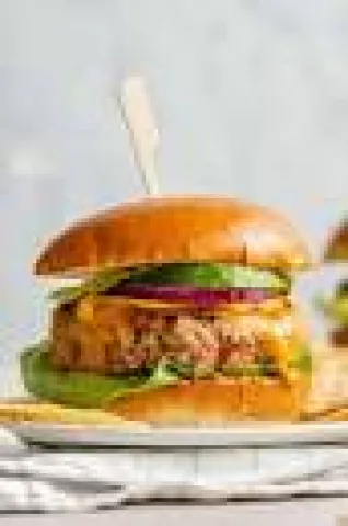 Chicken burger with fries 