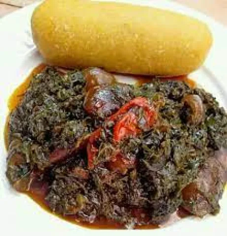 FOOD PARADICE