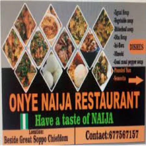 ONYE NAIJA  logo