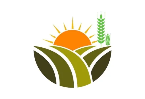 NDENGA DIEUDONNE SERVICE  logo