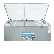 Congélateur coffre DELTA - DCF-660 - 660 litres - Gris 2