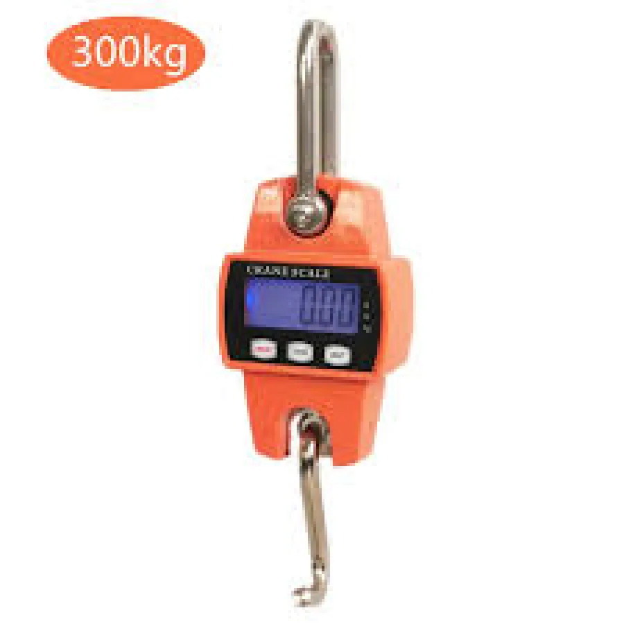 Balance à ressort - Écran LCD - 300kg,