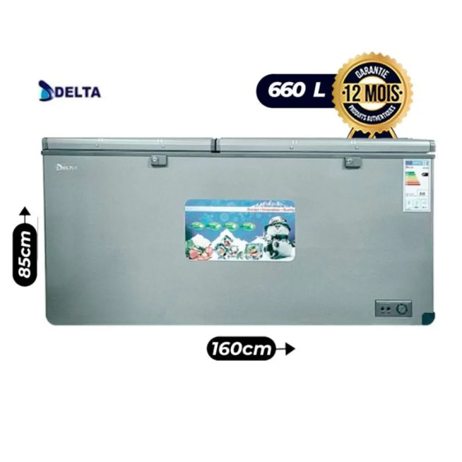 Congélateur coffre DELTA - DCF-660 - 660 litres - Gris